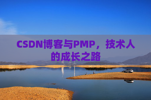 CSDN博客与PMP，技术人的成长之路